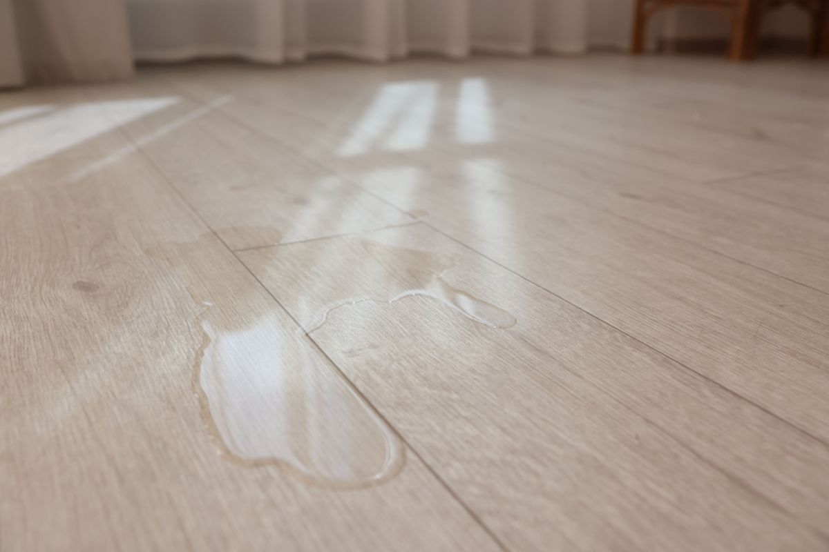 pulizie macchie d’acqua sul parquet