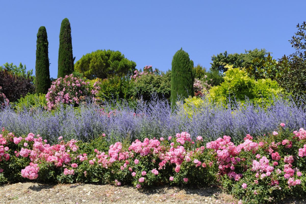 fiori che stanno bene insieme