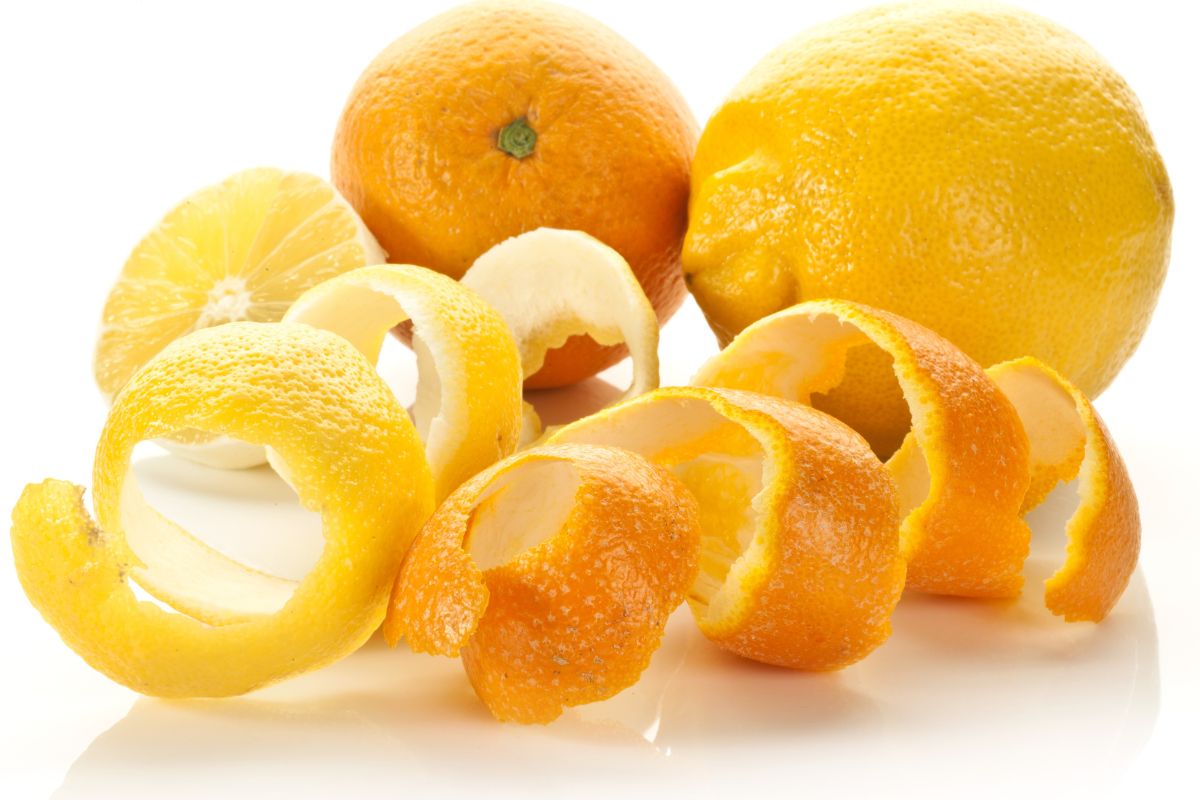 concime con scorze di agrumi