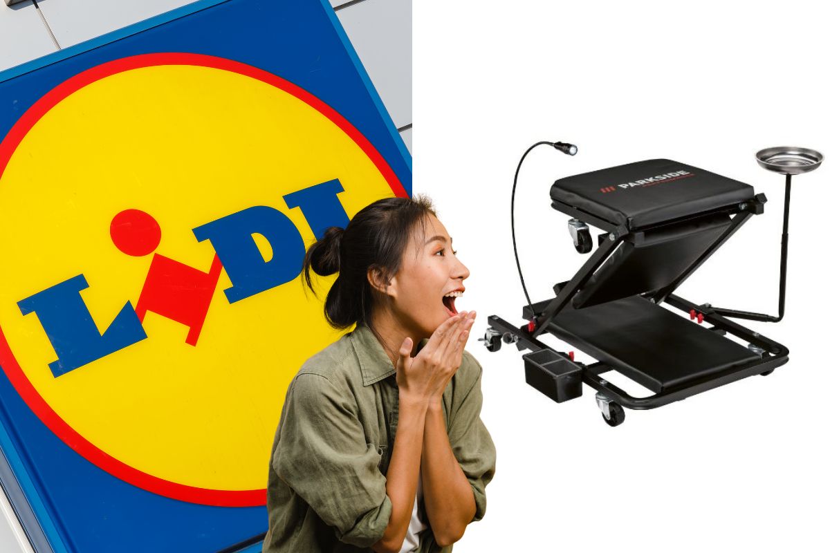 lidl sgabello carrello 2 in 1