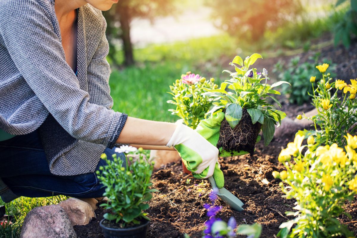 come preparare il giardino per l’autunno