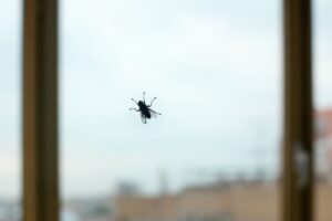 spray per scacciare le mosche