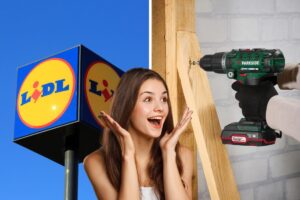lidl trapano a percussione parkside