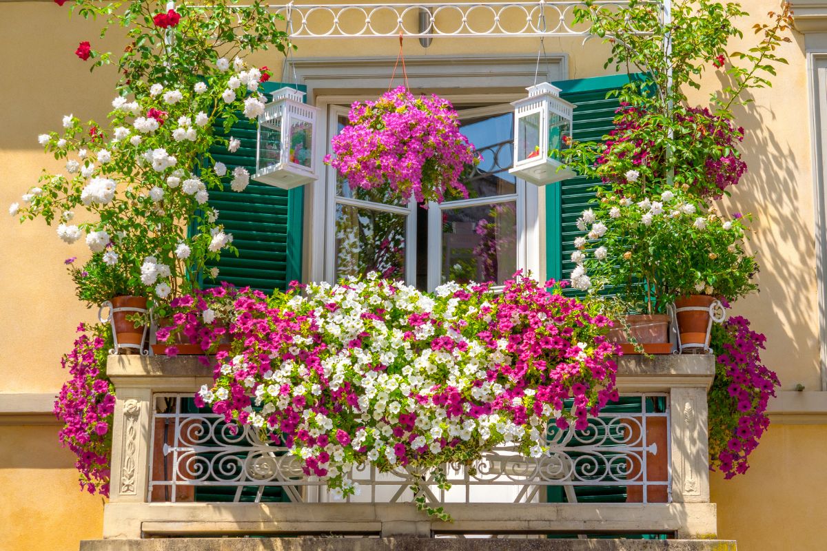 errori che rovinano il balcone fiorito