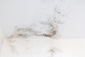risolvere con l'umidità di risalita