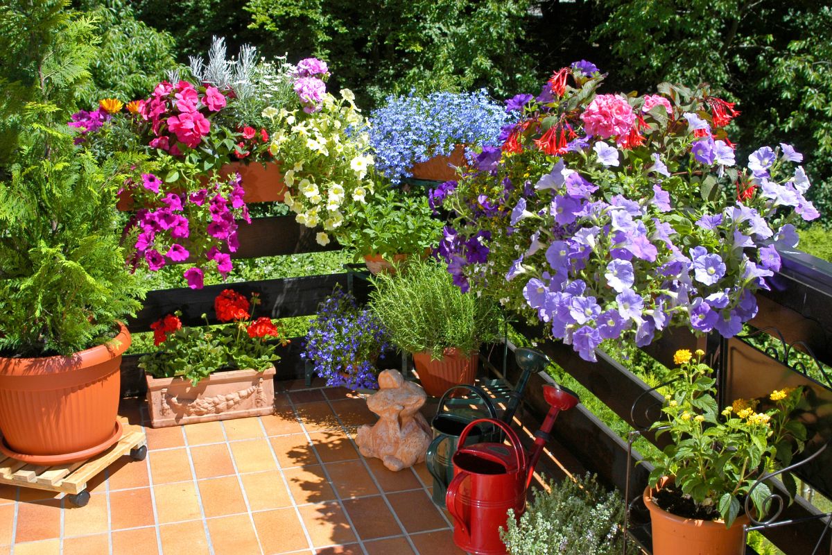 curare il balcone fiorito a settembre