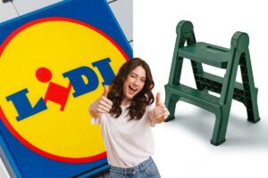 lidl scala a 2 gradini