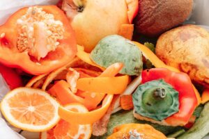 scarti di cucina per terriccio rigenerato