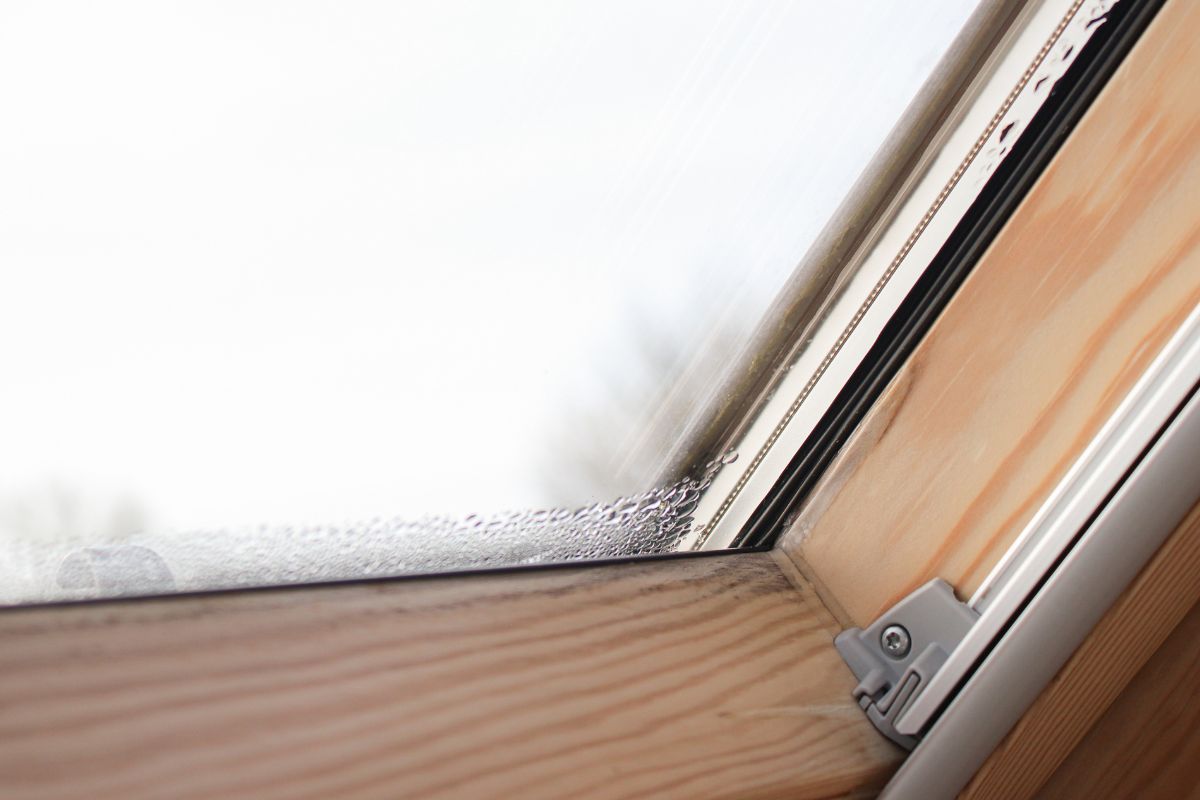 sale grosso per eliminare l'umidità